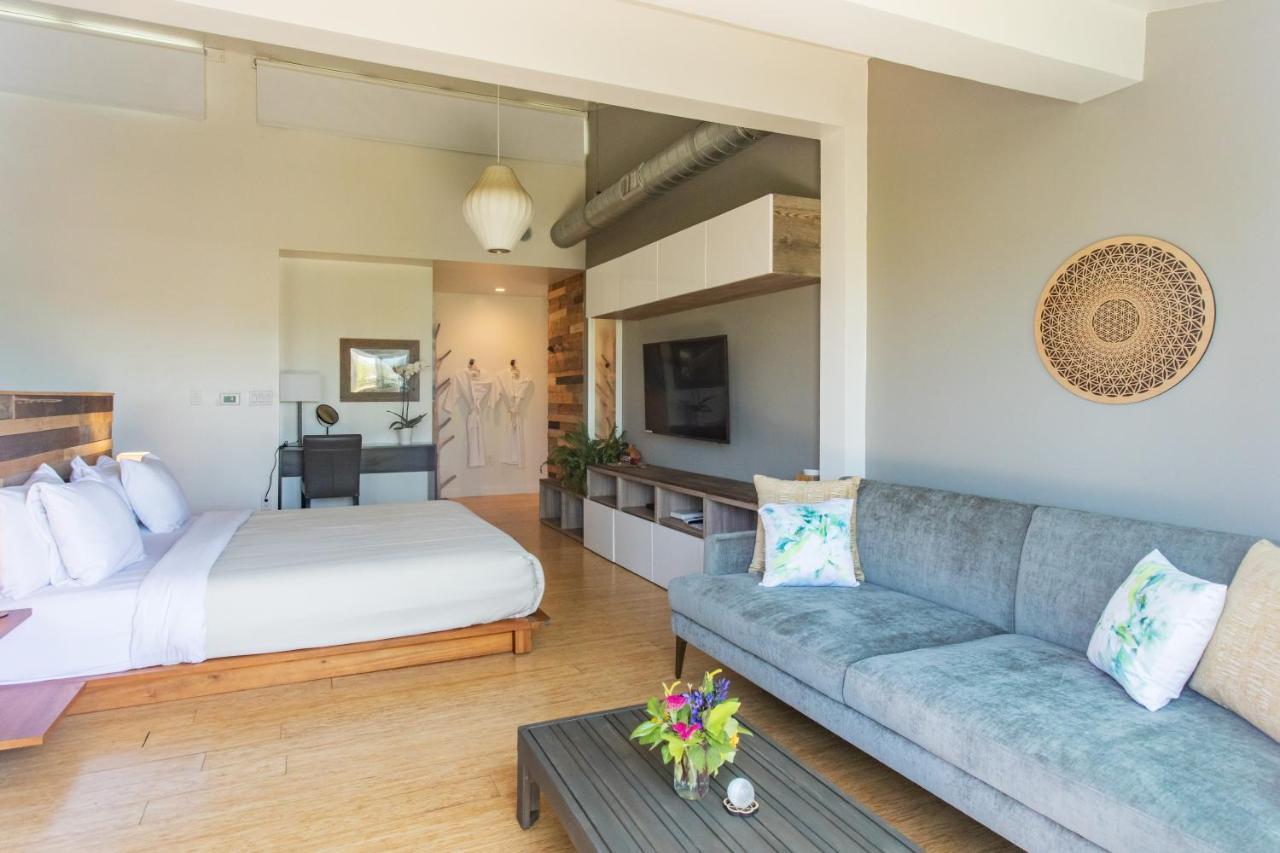Inn At Moonlight Beach Енсінітас Екстер'єр фото